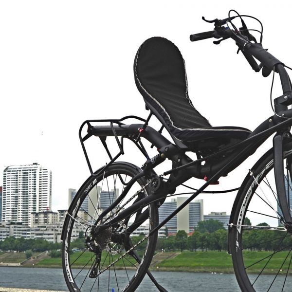 Azub Max 24,26 and 28 inch – Ace Ligfietsen